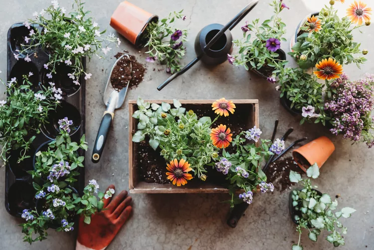 6 Gardening Habits You Should Definitely Break This Year, According to the Experts