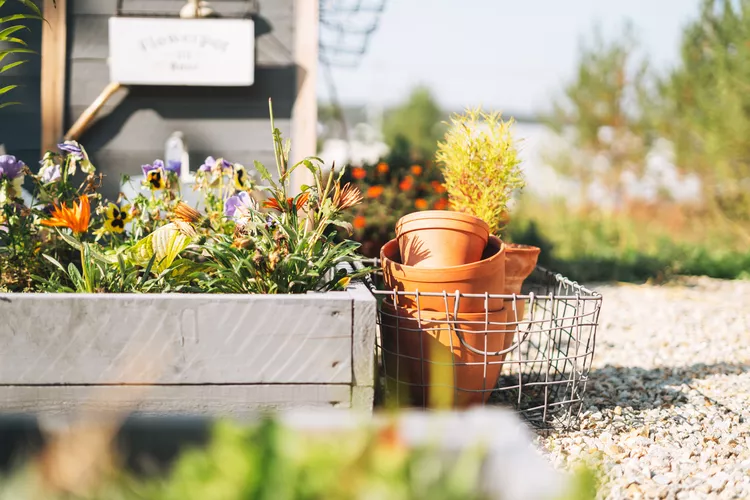 7 Essential Gardening Tasks to Prep Your Garden Before the First Frost