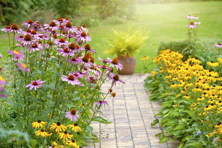 5 Surprising Ways Scorching Summer Heat Benefits Your Garden