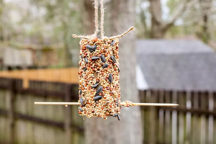 45 DIY Bird Feeder Ideas Anyone Can Recreate