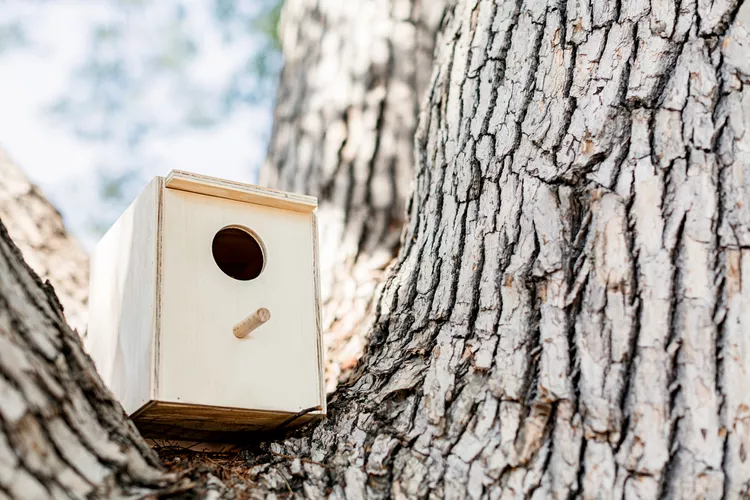 32 Free DIY Birdhouse Plans You Can Build Today