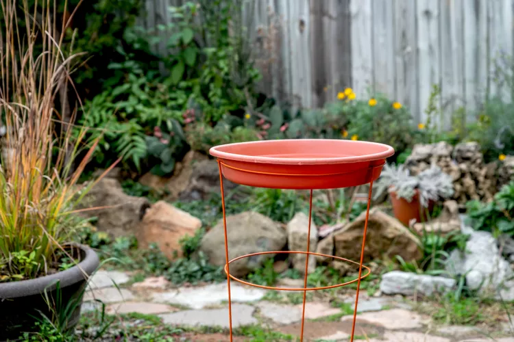 10 Easy DIY Bird Bath Projects